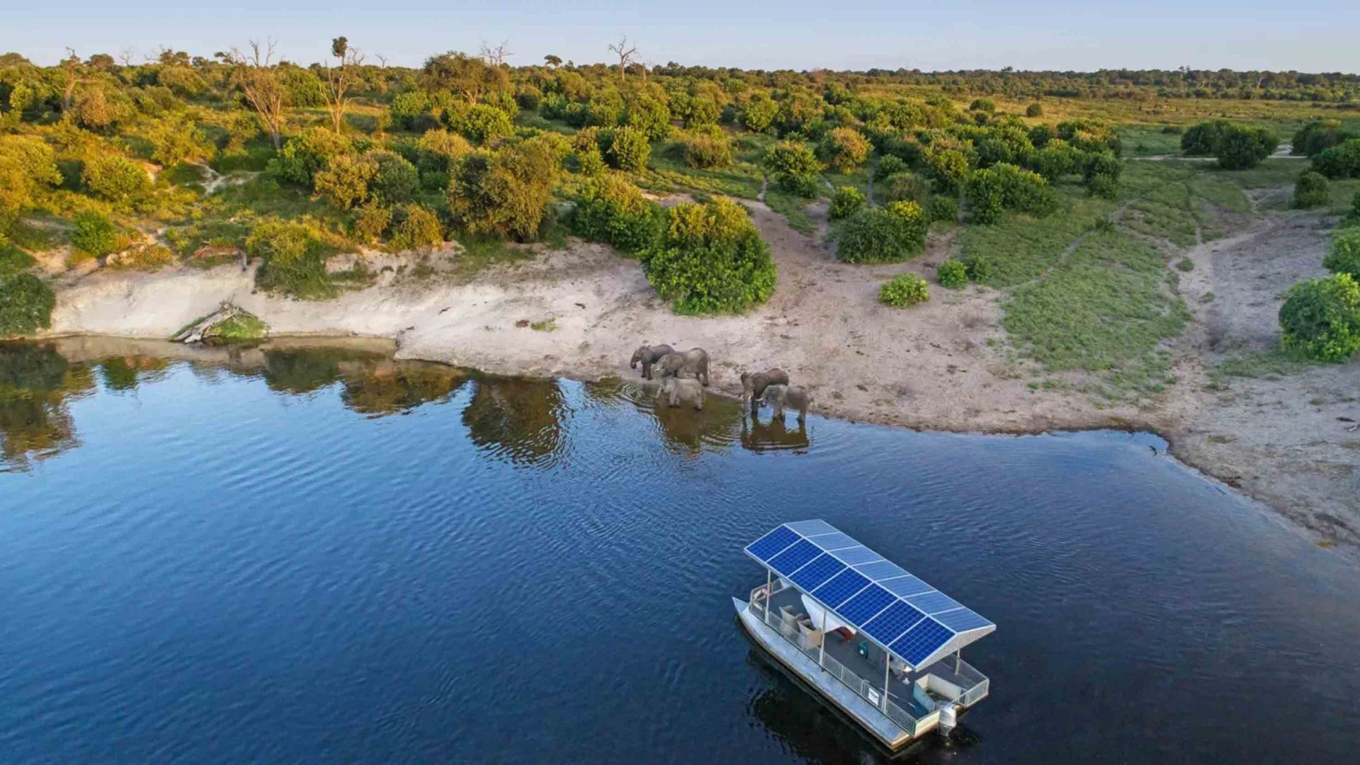 People on a solar powered boat watch elephants on the shore .